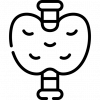 endocrine