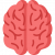brain brain